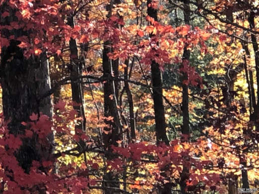 Parking Site for Rent in Rocky Mount, VA