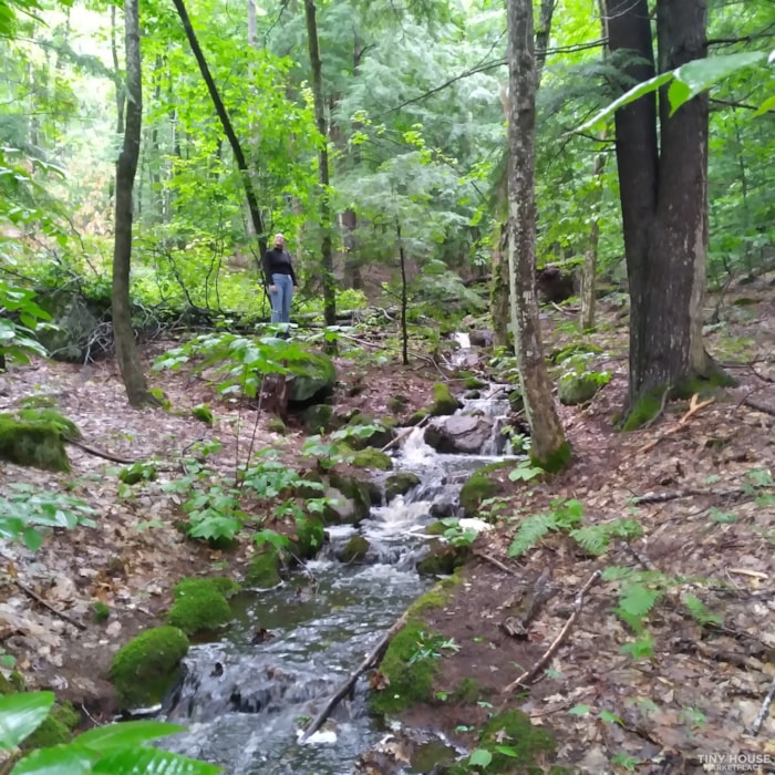 Plot For Rent on 21 acres of natural woodland in Maine's lake district