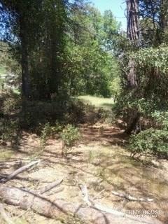 Private mt. property by Trinity River - Slide 2