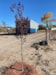 New Mexico    Riveredge Tiny Home Village   - Slide 3 thumbnail
