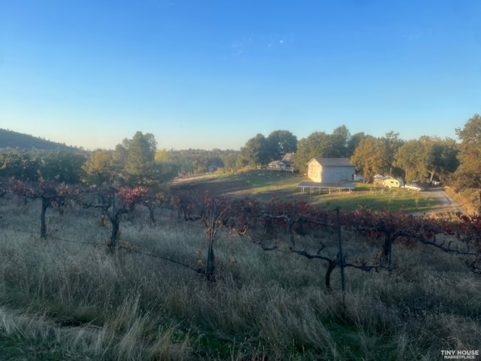 Sustainable Vineyard and Permaculture Community in Sierra Foothills