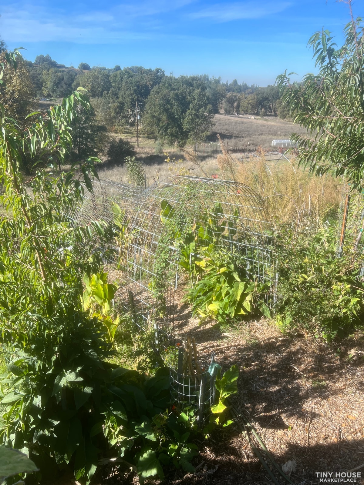 Sustainable Vineyard and Permaculture Community in Sierra Foothills - Slide 2