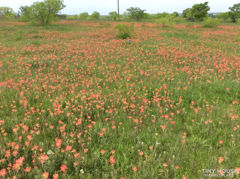 Tiny House Community - Texas Hill country retreat!