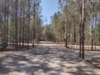 THOW Community in Coastal North Carolina (near Wilmington) - Slide 5 thumbnail