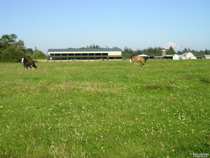 Tiny House Space Available on a Peaceful Horse Ranch