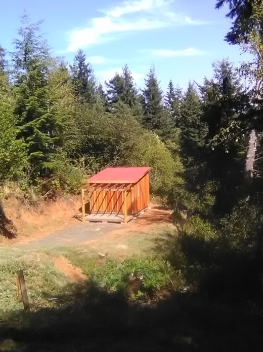 Tiny Cabin nestled in the woods