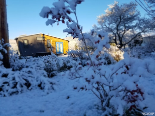 Architect and Artist Designed Tiny House Built as a Labor of Love