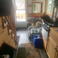 Little Blue - Image 5 Thumbnail