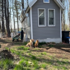 Tiny house on wheels - keep it where it is! - Image 3 Thumbnail