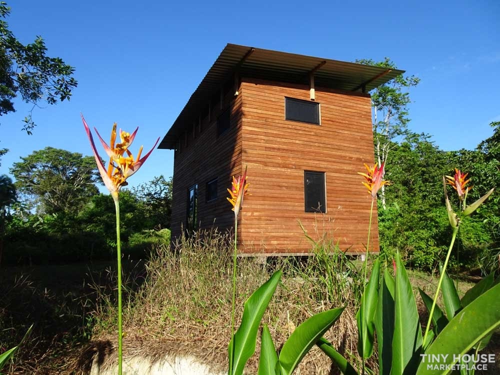 TINY HOUSE WITH 1 HECTAR ORGANIC FARMLAND - Image 1 Thumbnail