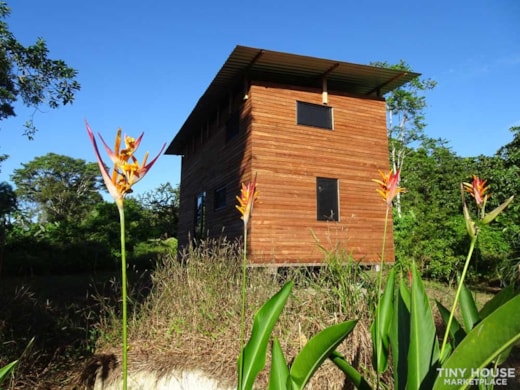 TINY HOUSE WITH 1 HECTAR ORGANIC FARMLAND